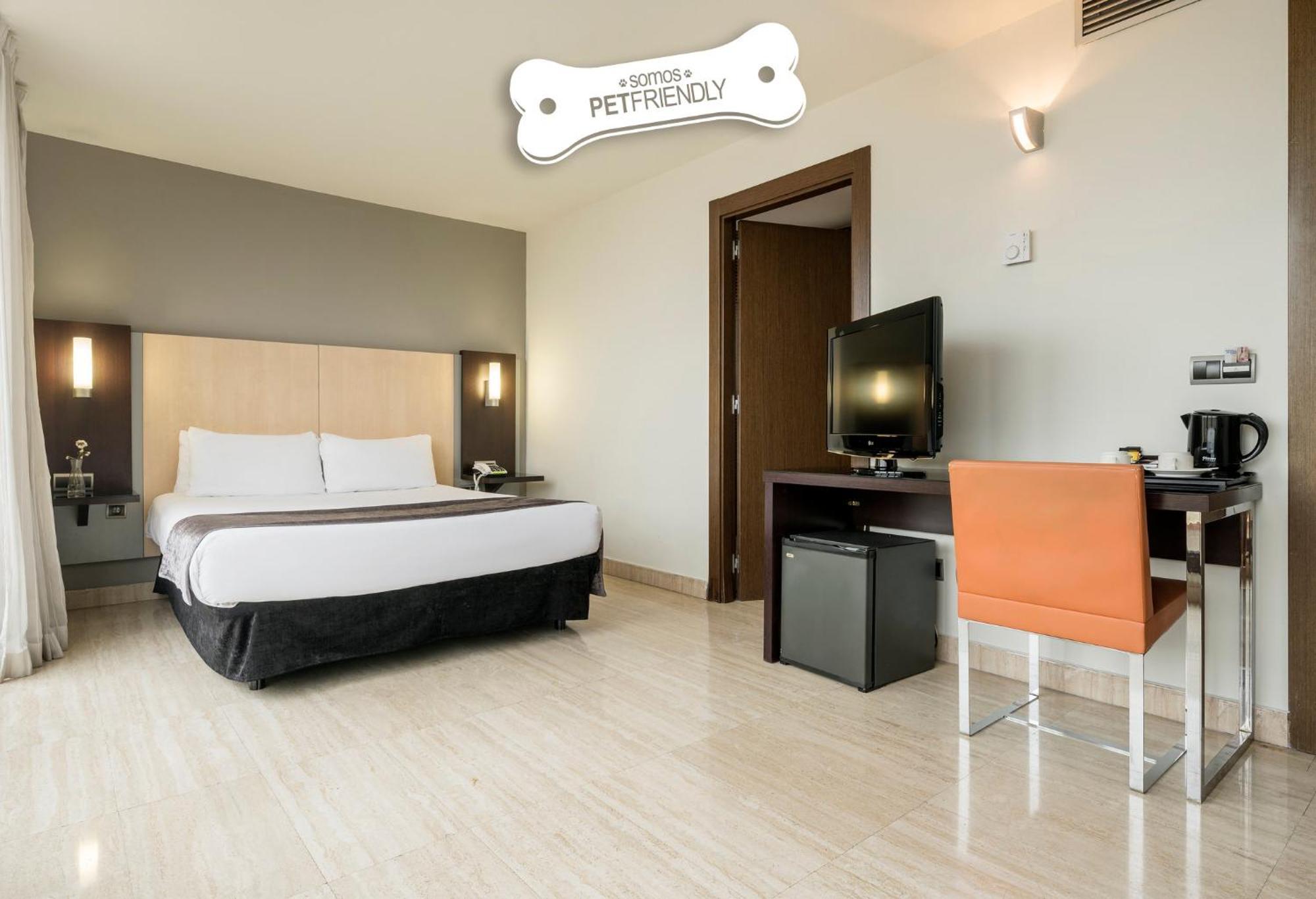 Double Room Pet Friendly,693071451:JPEG